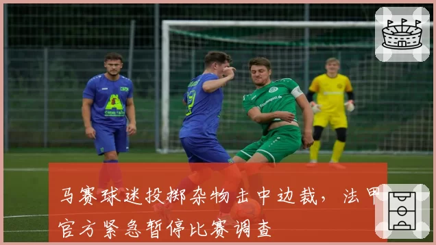马赛球迷投掷杂物击中边裁，法甲官方紧急暂停比赛调查