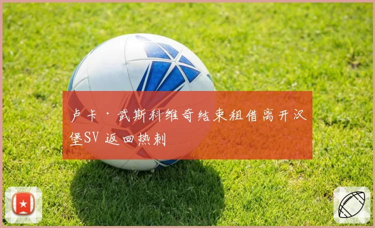卢卡·武斯科维奇结束租借离开汉堡SV 返回热刺