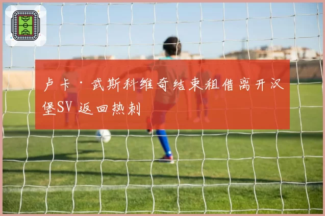 卢卡·武斯科维奇结束租借离开汉堡SV 返回热刺